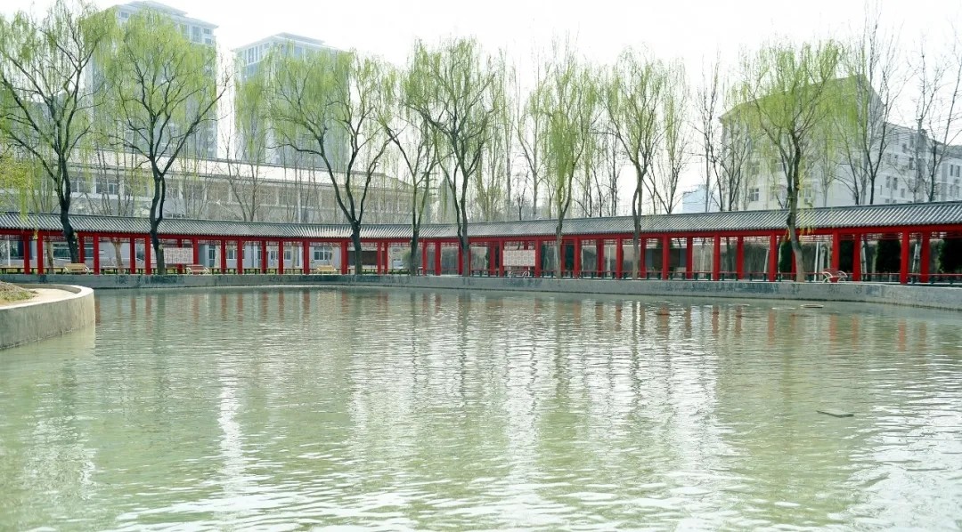 保定高考志愿填报服从调剂,河北保定学院单招录取分数线