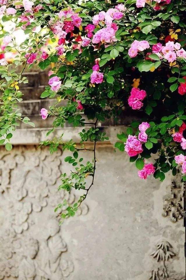 唐朝道姑的结局,唐朝被皇上杀死的四大才女