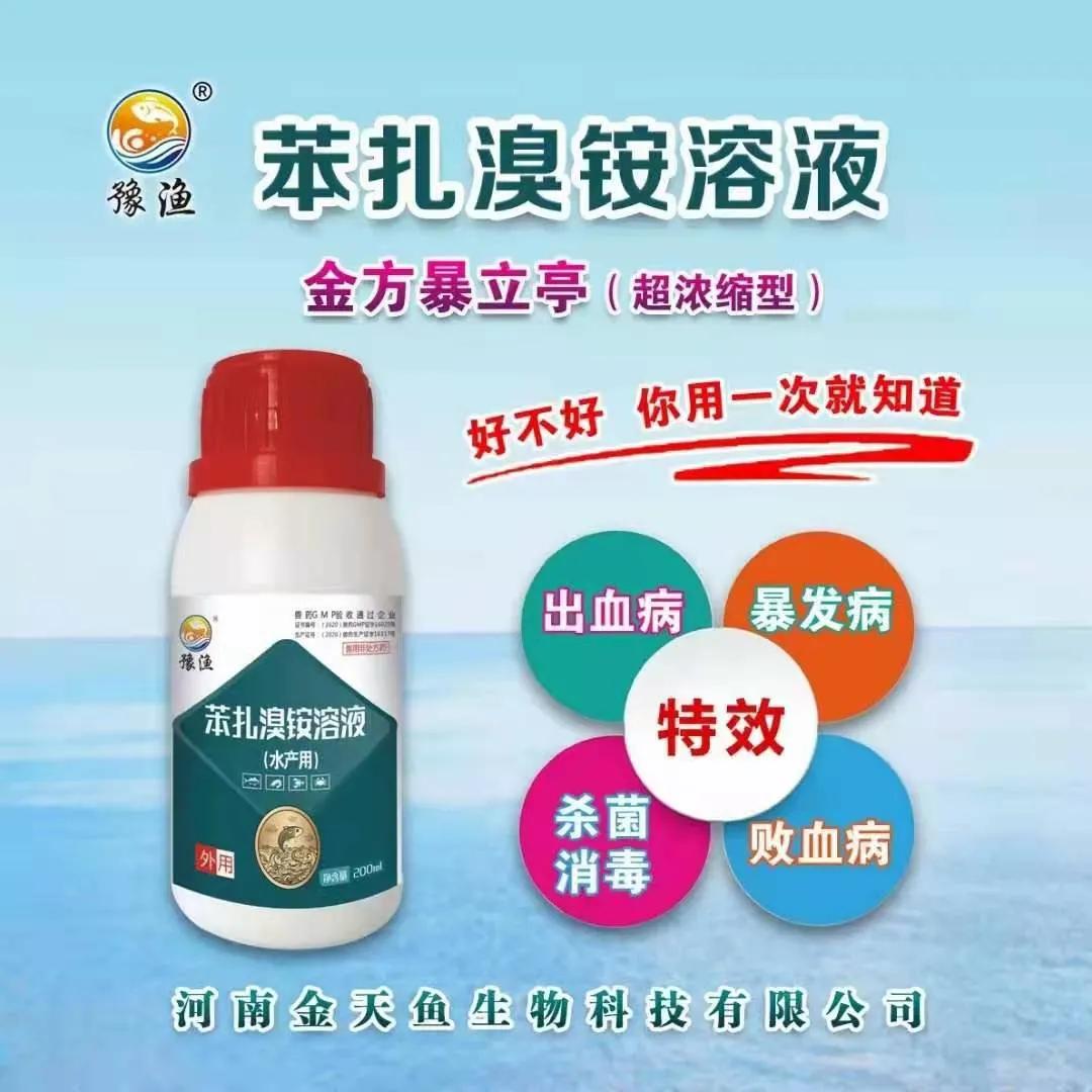 水产鱼出血病怎么治,鱼出血病最快的治疗方法
