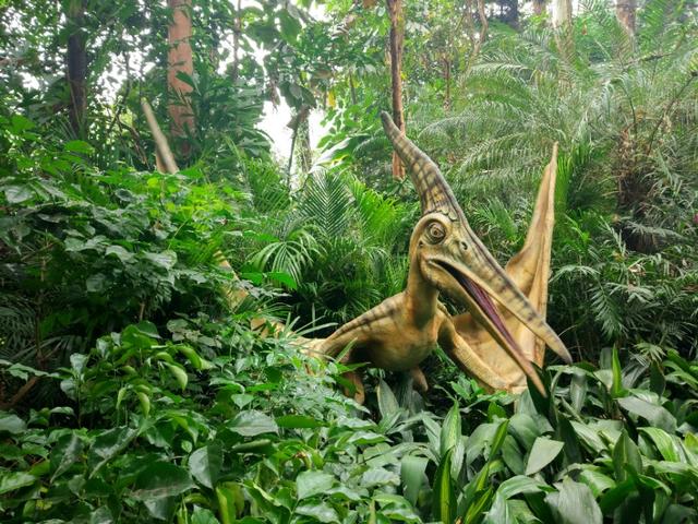 广州番禺区长隆野生动物世界缆车,广州旅游长隆野生动物世界