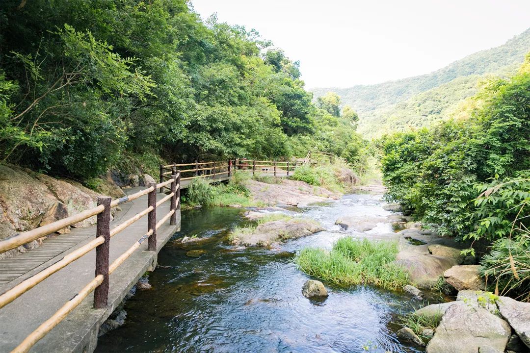 深圳值得打卡的建筑物,深圳最值得打卡的山