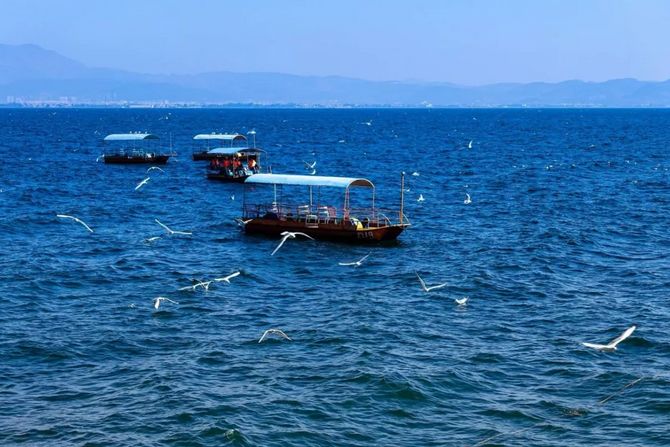 去云南自驾游有哪些景点最美,云南最美打卡景点