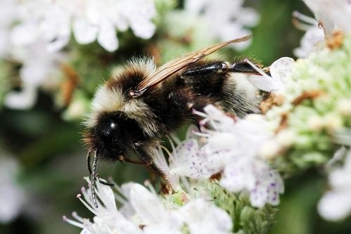 为什么人类是世界上最奇特的生物,细菌的演化过程