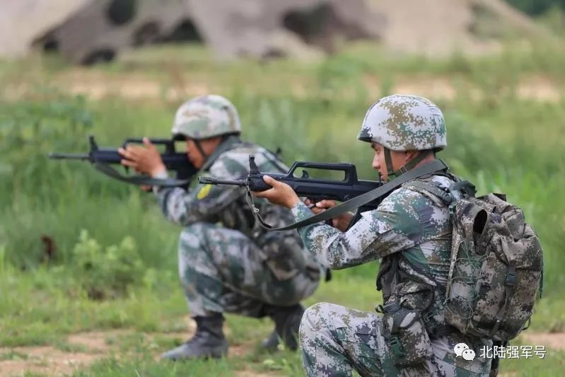 我是*用军**帐篷佩奇！一起来认识我的家族成员吧！