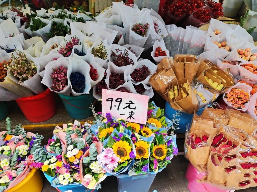 武汉花鸟市场买鸟,武汉花鸟市场的花便宜吗
