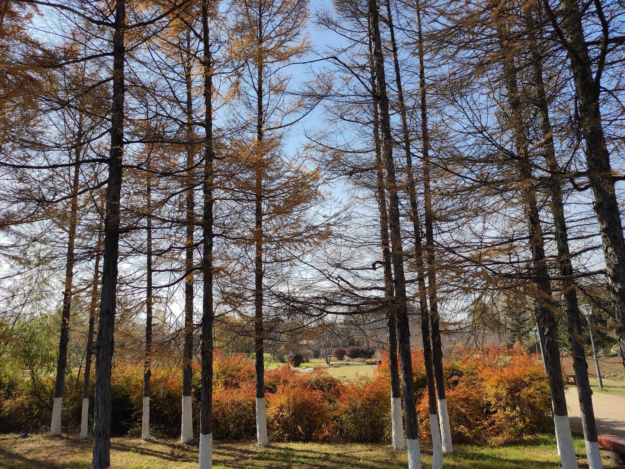 欣赏年画、邂逅大海、闲逛宜家，将生活过成诗与远方