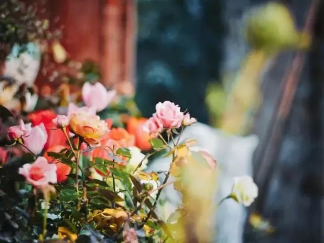 10000块能做点什么,10000块钱能做什么