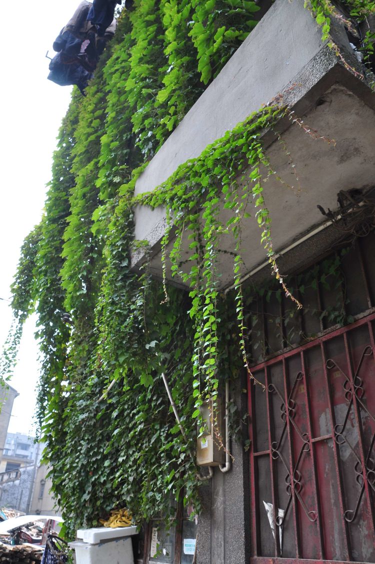 无锡北塘大街,无锡印象北塘大街