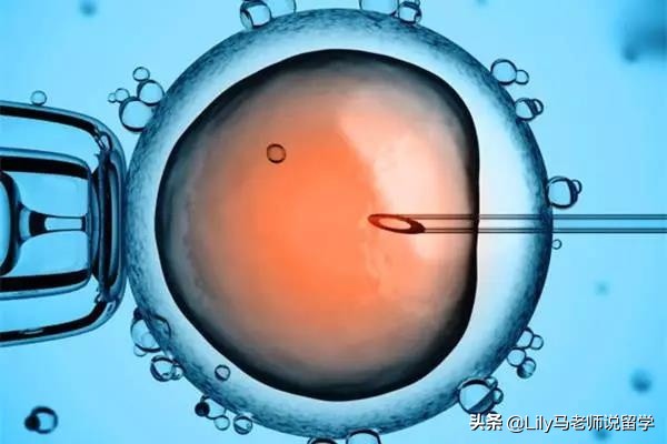 美国生物医学工程专业全面解析