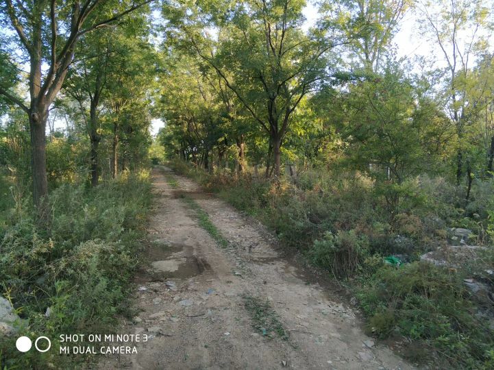 大连长兴岛长城,大连长城4s店