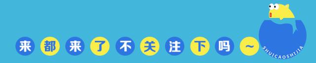 草缸常见10种藻类的解决方法,草缸藻类生物防治方法