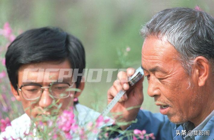 榆林市八十年代 (榆林市制革厂老照片)