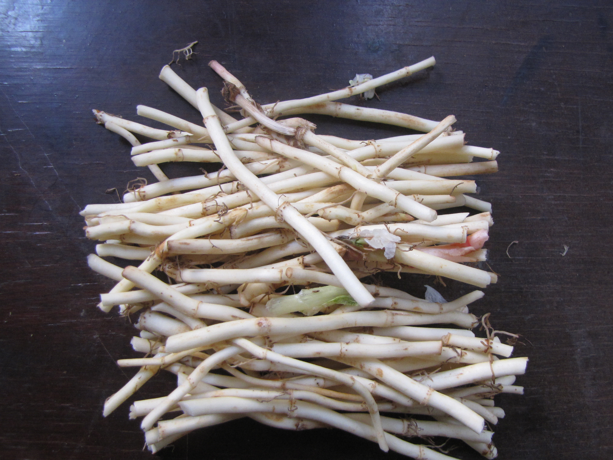 鱼腥草无公害丰产栽培技术,鱼腥草栽培