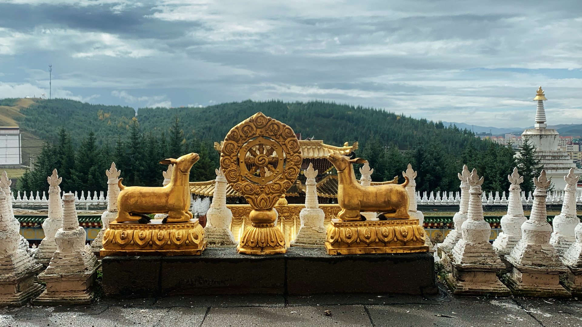 甘肃最罕见的寺庙是哪个,甘肃有个建在石崖上的寺庙