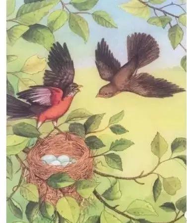 培养3至4岁幼儿逻辑思维的绘本,读绘本引导孩子的思维