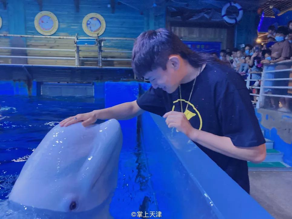 天津海昌极地海洋世界年票,天津海昌极地海洋99票价真实性