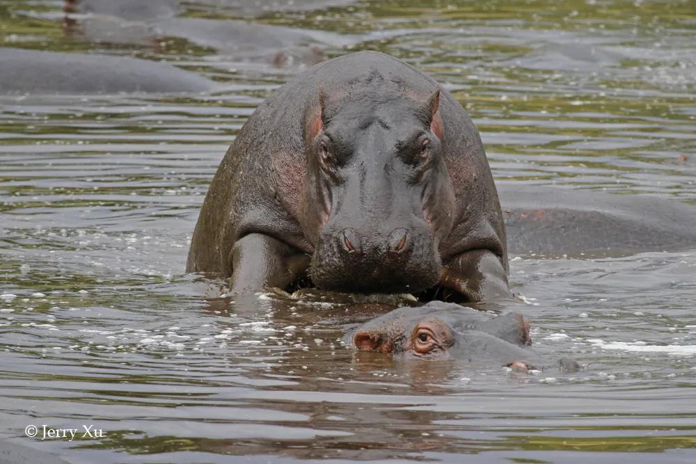 情人节适合干什么事,情人节对方做过最让你感动的事