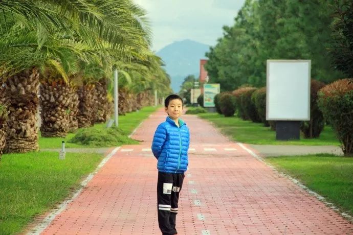 国际象棋棋手排名和背后的故事,国际象棋总结