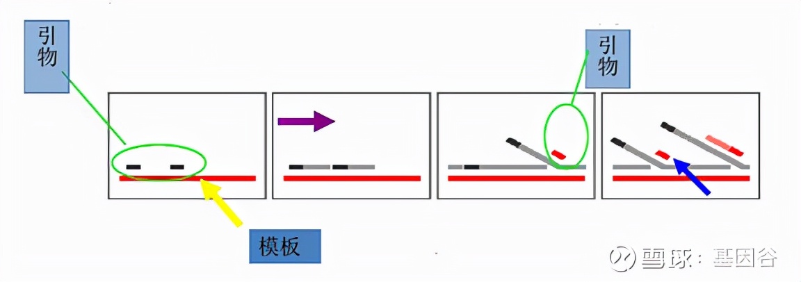 全场硬菜!分子诊断技术全解析