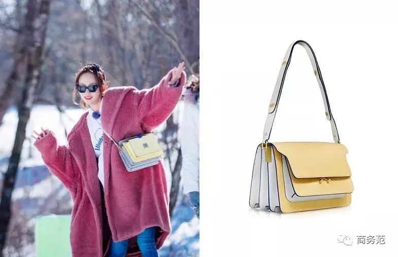 袁咏仪戴劳力士,袁咏仪卡地亚珠宝图