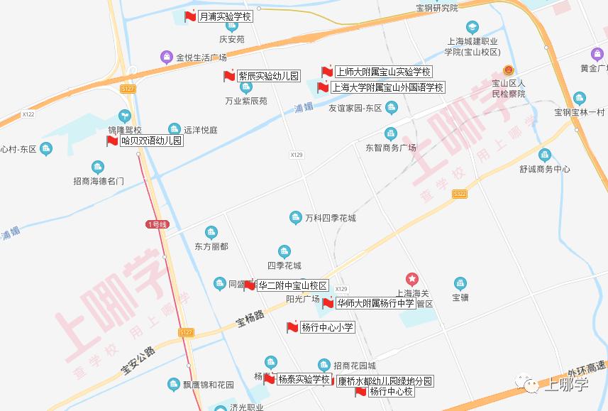 上海好学校集中的片区,上海最有潜力的小学排名