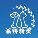 派特寻宠专业宠物搜救团队,派特守护者