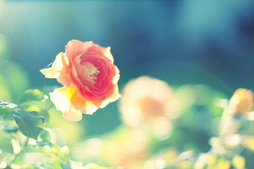 守心不出错守嘴不惹祸句子现实,守嘴不惹祸守心不出错全文阅读