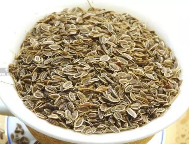 香料植物与成品解析,香料植物有哪几种