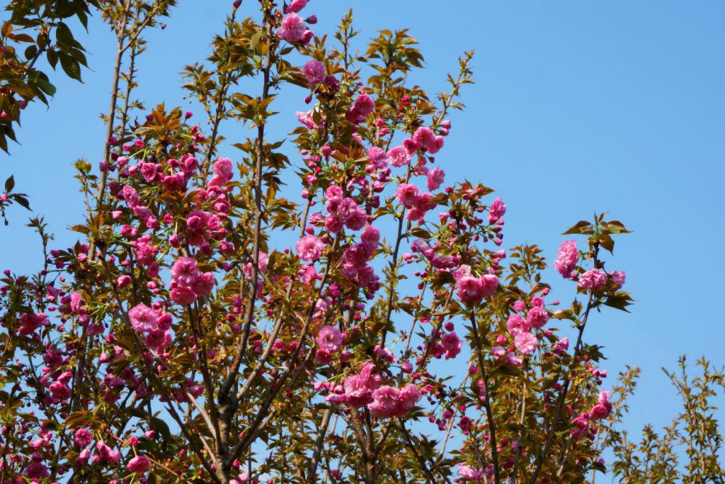 广西桂林五一人少小众旅游地,桂林平乐小众景点