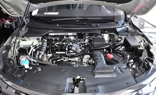 “中国特供”们今年如何？1系倒数，最后一名简直活该！