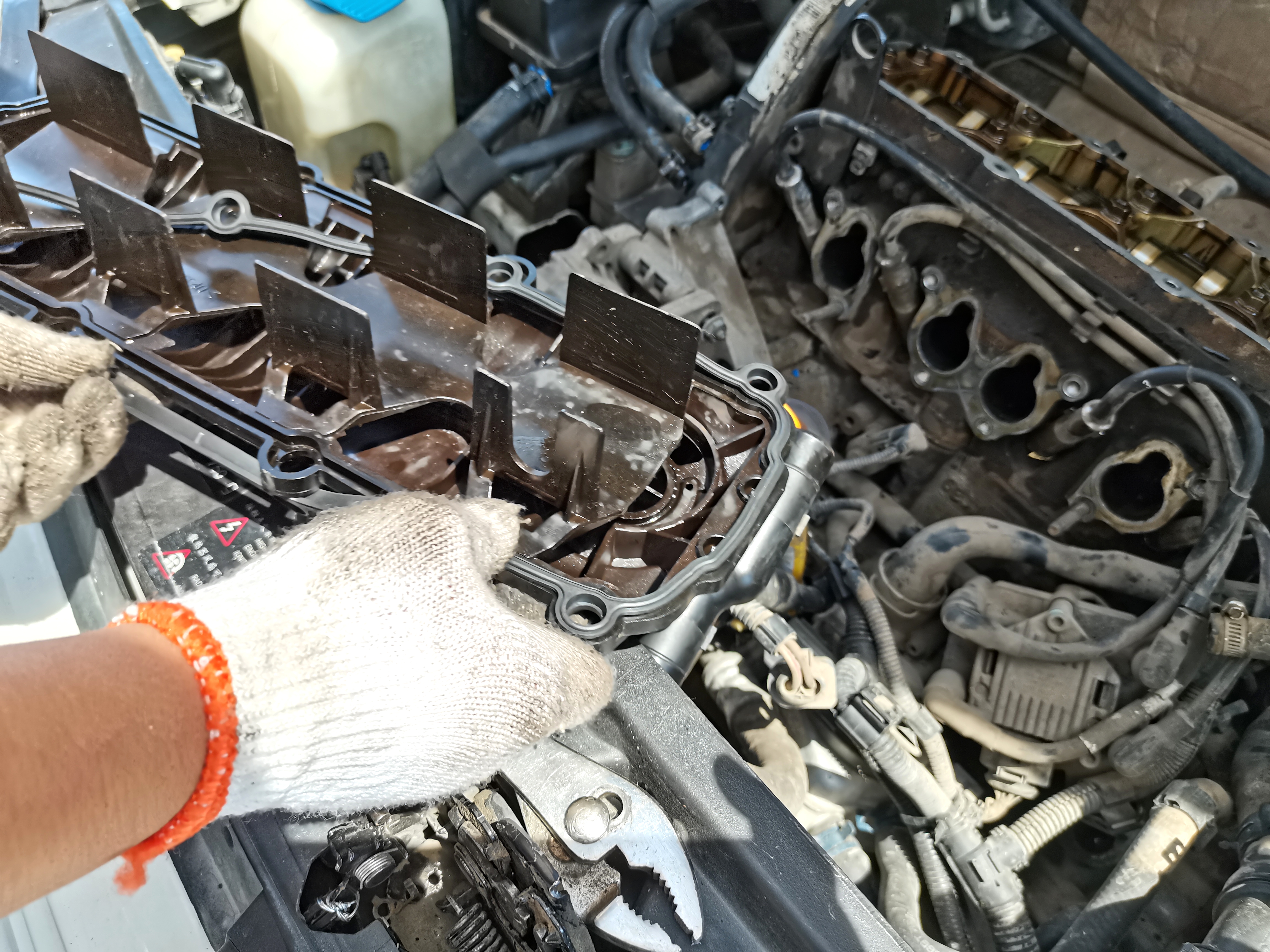 高级车大众车,很高级的大众车