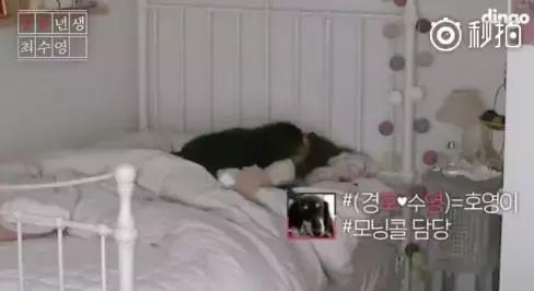 恋爱六年秀恩爱图片,你们还记得第一次公开秀恩爱吗