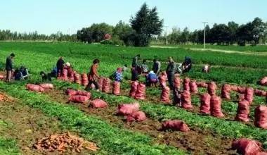 国家农业综合开发项目,农业综合开发产业