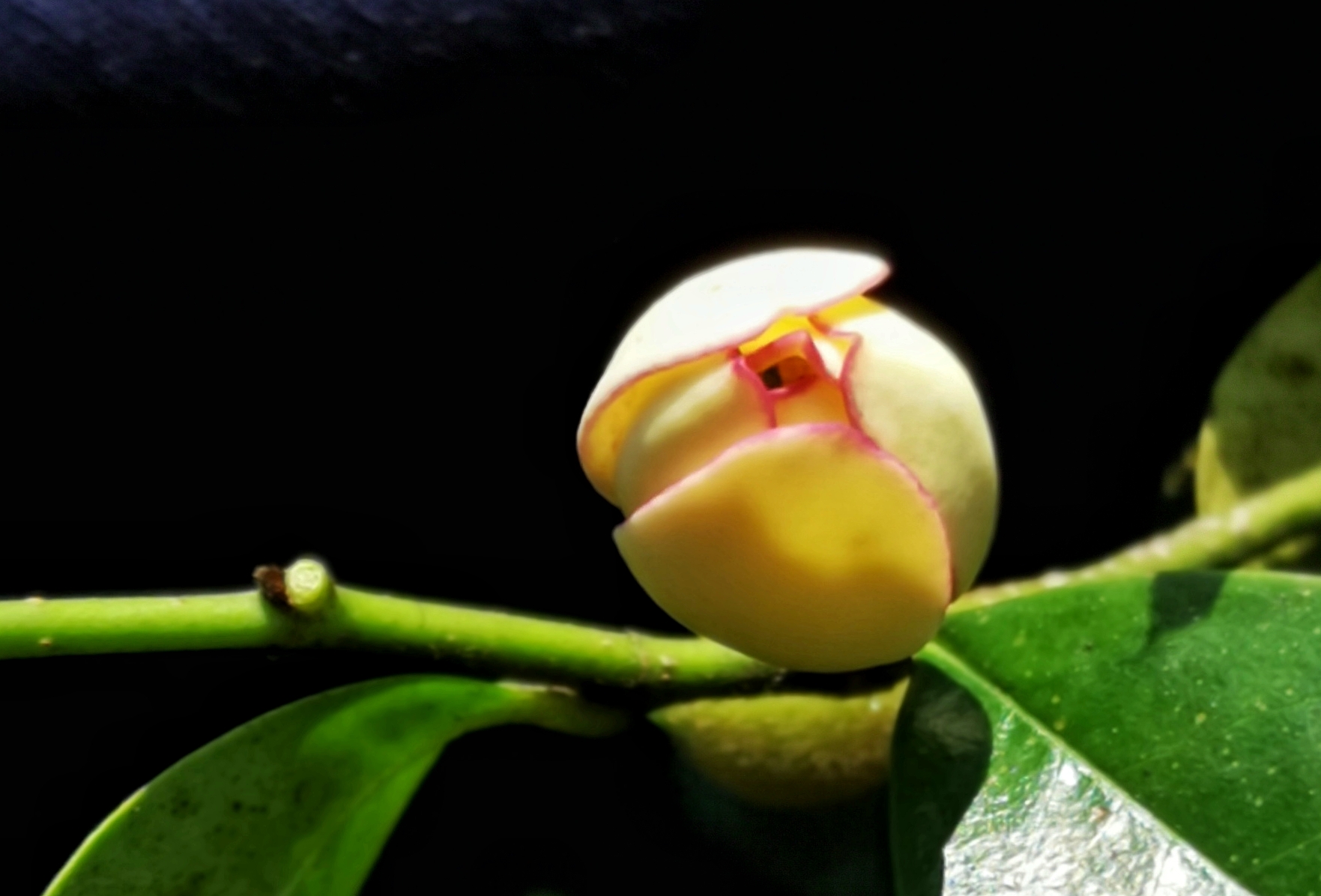 寻找身边的美丽身影,寻找身边美丽景色