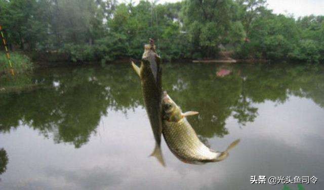 抛竿主线用几号线最好,抛竿主线跟子线怎么搭配最合理