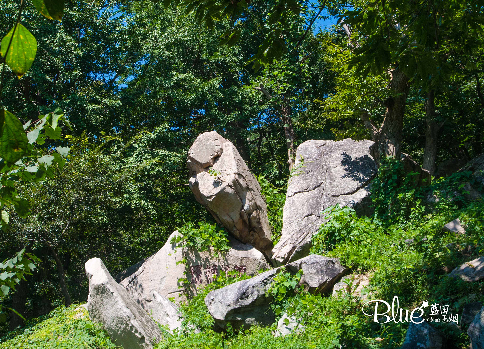 连云港著名景点花果山的传说,连云港的花果山景区