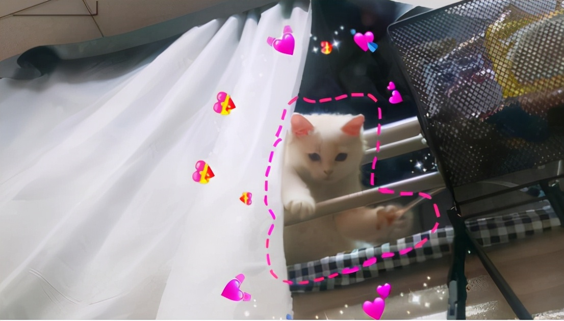 大学宿舍有违规用品是违纪行为吗,大学寝室违规物品有哪些