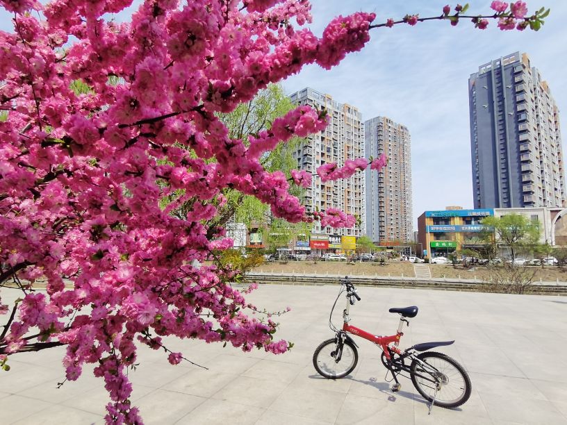 沈阳大东区东北大马路是几环,沈阳大东区东北大马路177号
