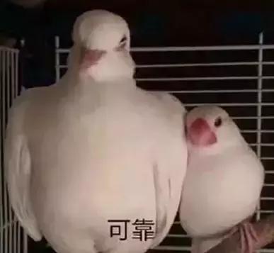 渣男和优质男的区别在哪里,渣男遍地都是防不胜防