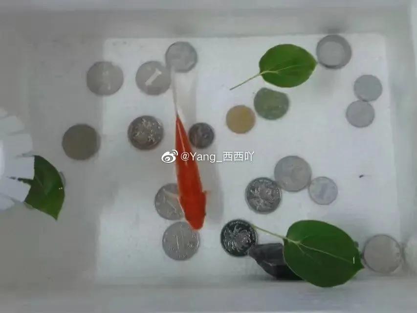 上课时与异性同桌做过最暧昧的事？说说你做过的事吧