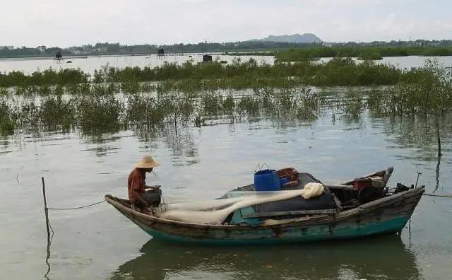 一线特稿：*江阳**“船”说