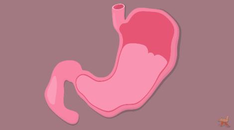 酱油清肠，避孕药洗头，这些自杀式养生为什么总有人信？