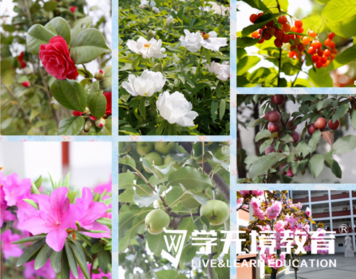 东西轴线东津重点,东西轴线东津段能走吗