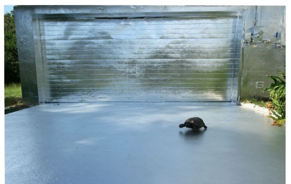 他们抢劫老妈、用锡箔包房子、修建时光机，还说受了外星人指使