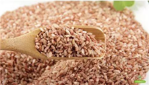 去兰坪旅游值得逛的地方,去了一次就喜欢的城市