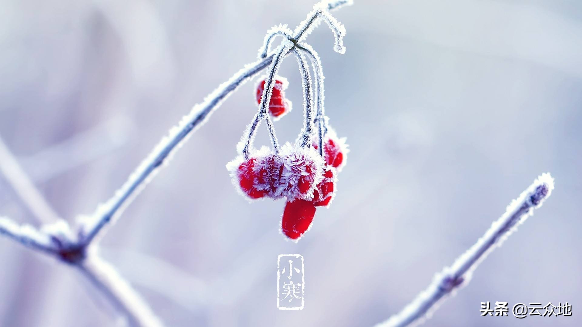 倒春寒谚语俗语知多少,预防倒春寒的农谚