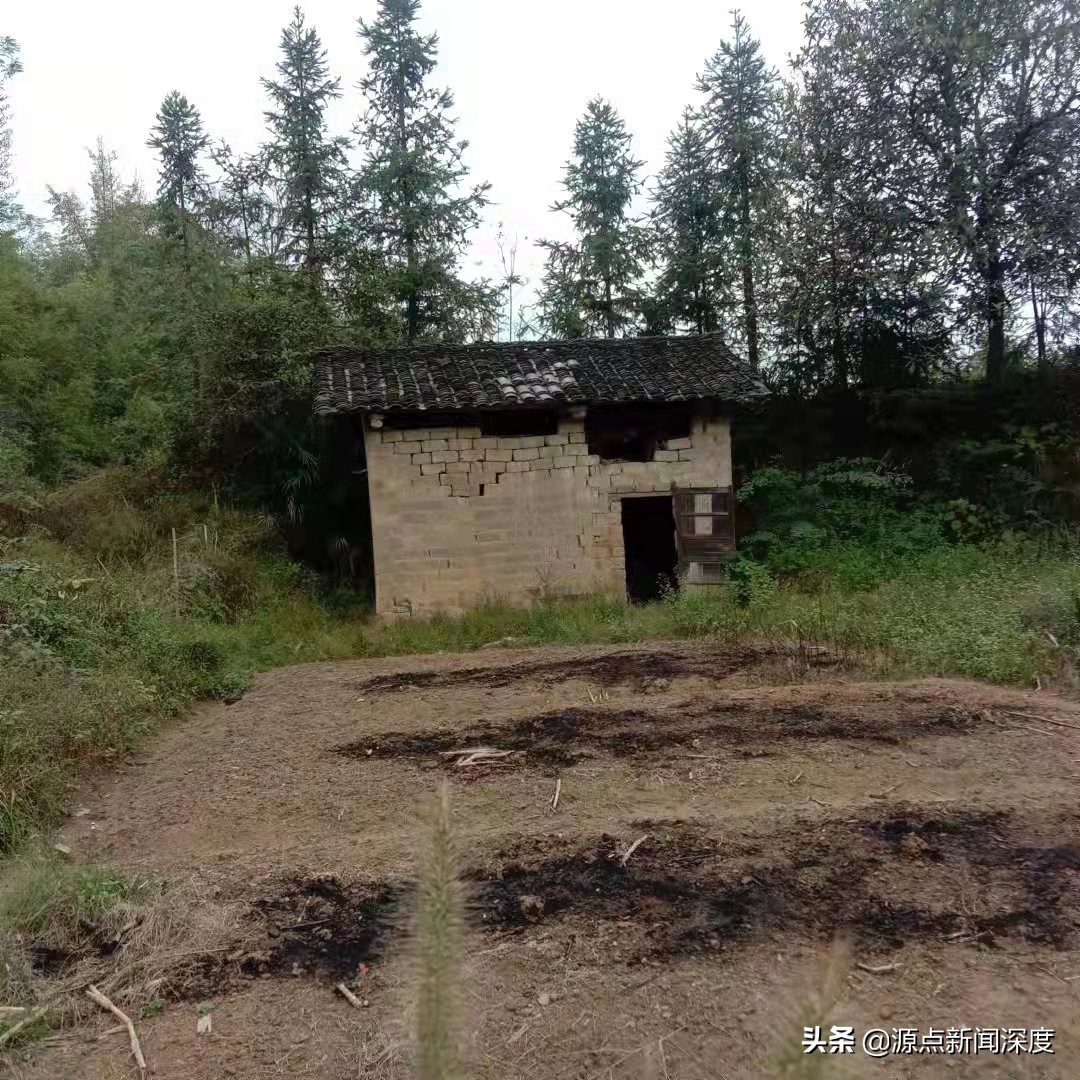 湖南3男子被控报复人事局炸毁小车,1人死刑1人死缓1人无期,称无作案时间喊冤27年,遭错杀错判?检方已受理