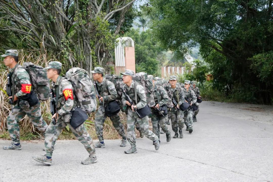 福建省军区民兵演习,战区部队的军事演练