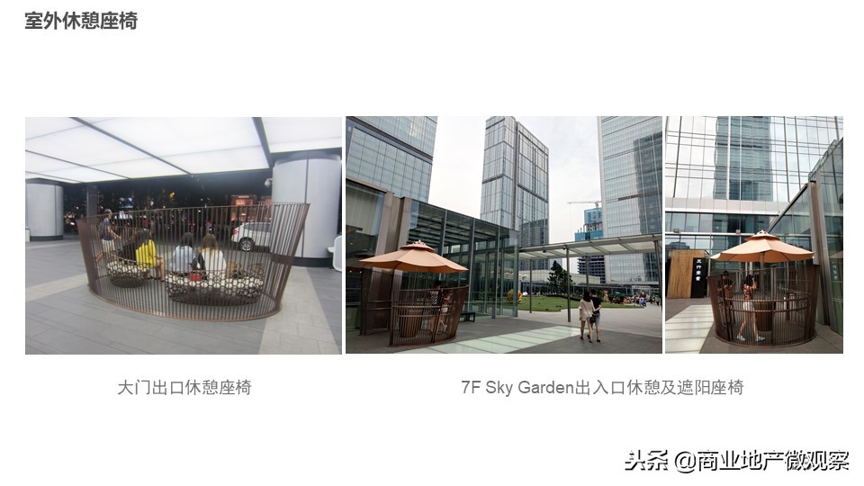 在成都看ifs熊猫,成都ifs上的爬墙大熊猫