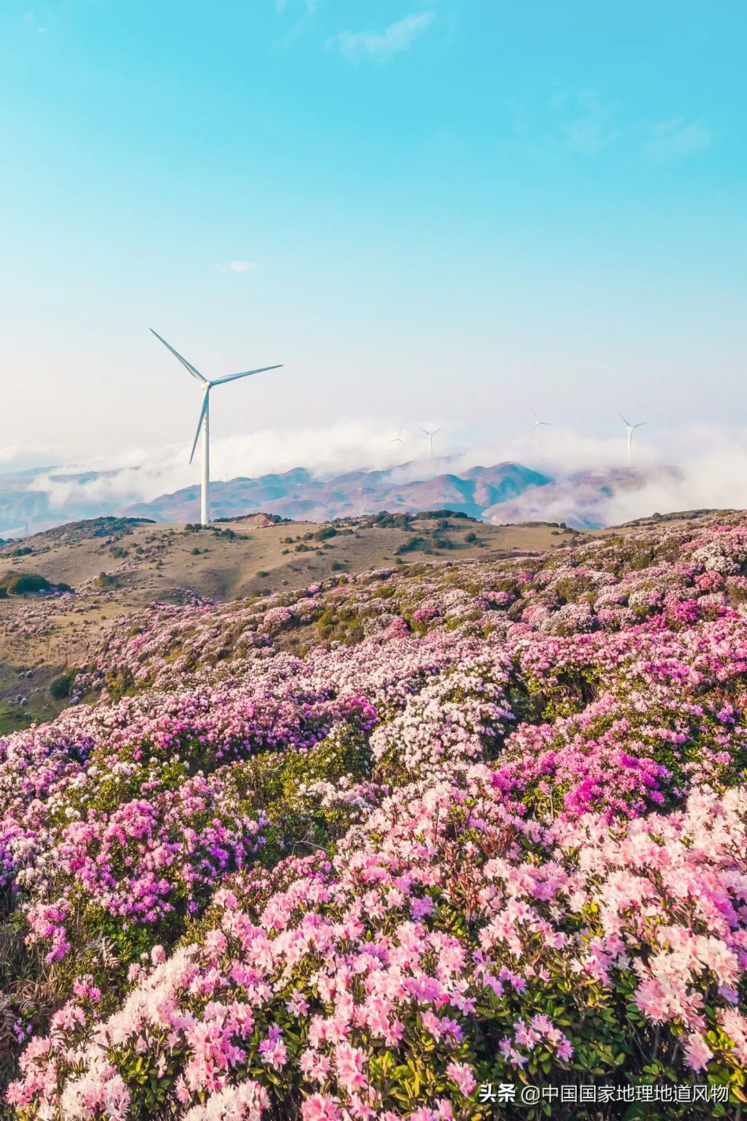 中国凉都六盘水完整视频,中国凉都六盘水气候宜人